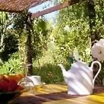 Sotto La Palma