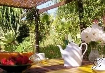 Sotto La Palma